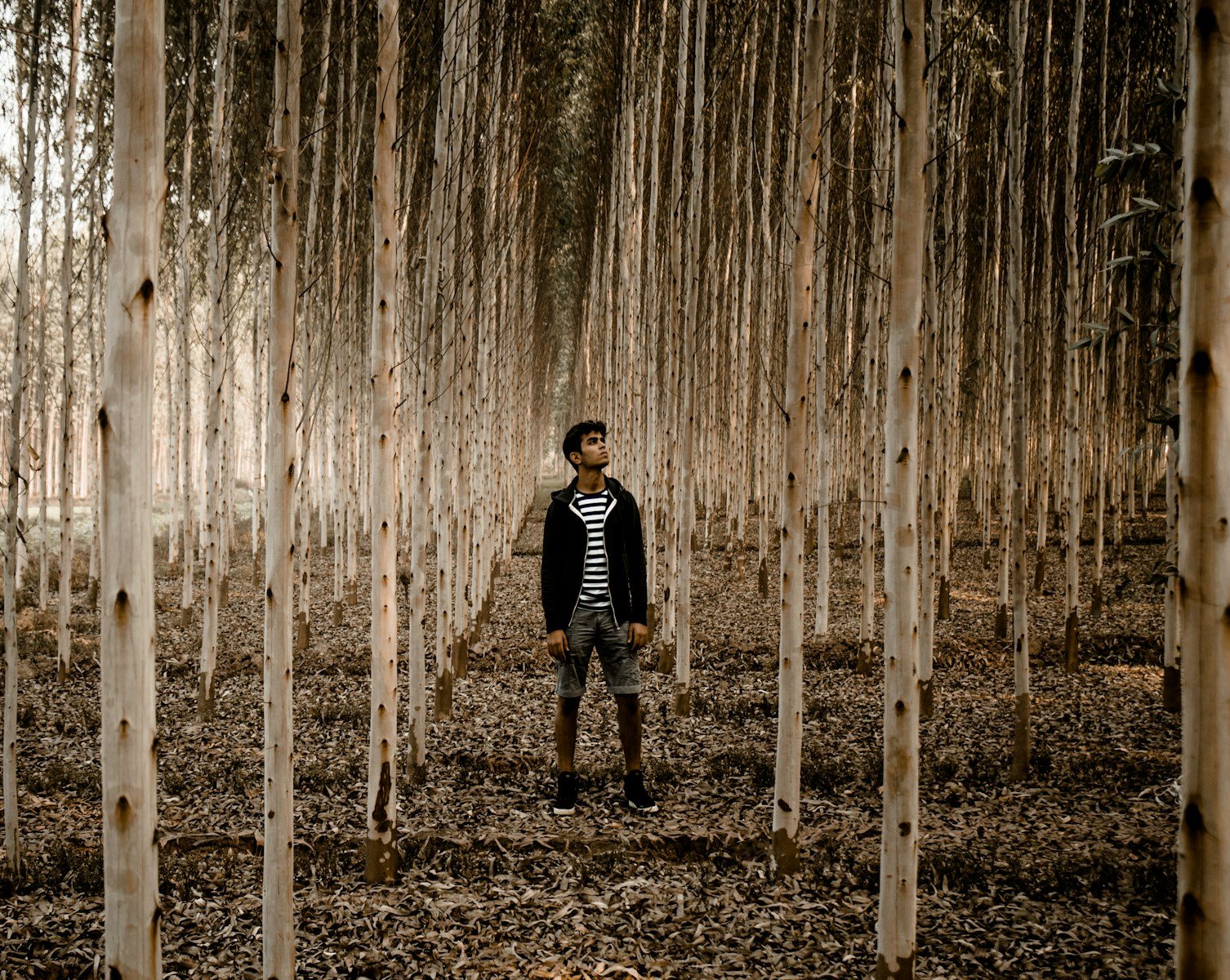 man standing in the woods